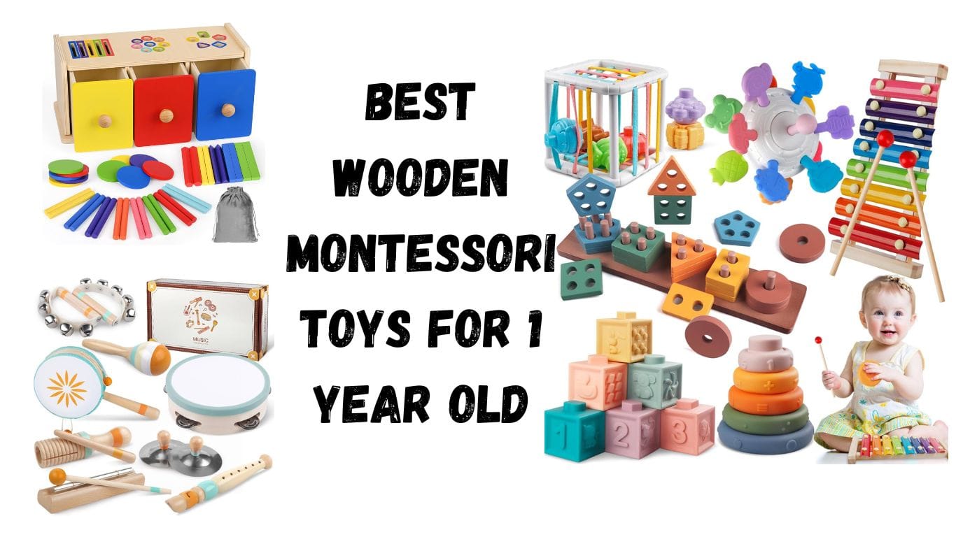 wooden montessori toys for 1 year old